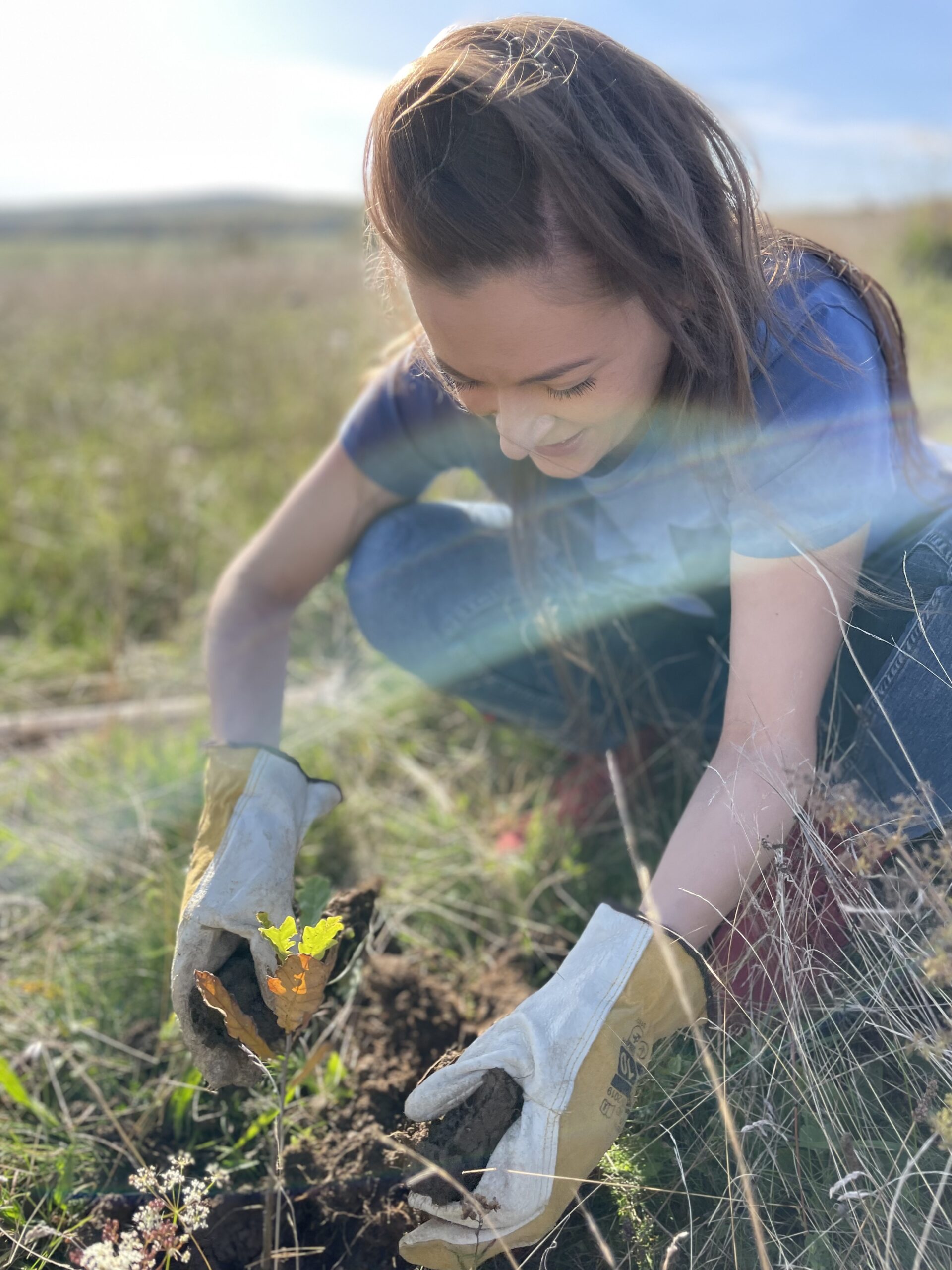 LynxSolutions Planting Trees 