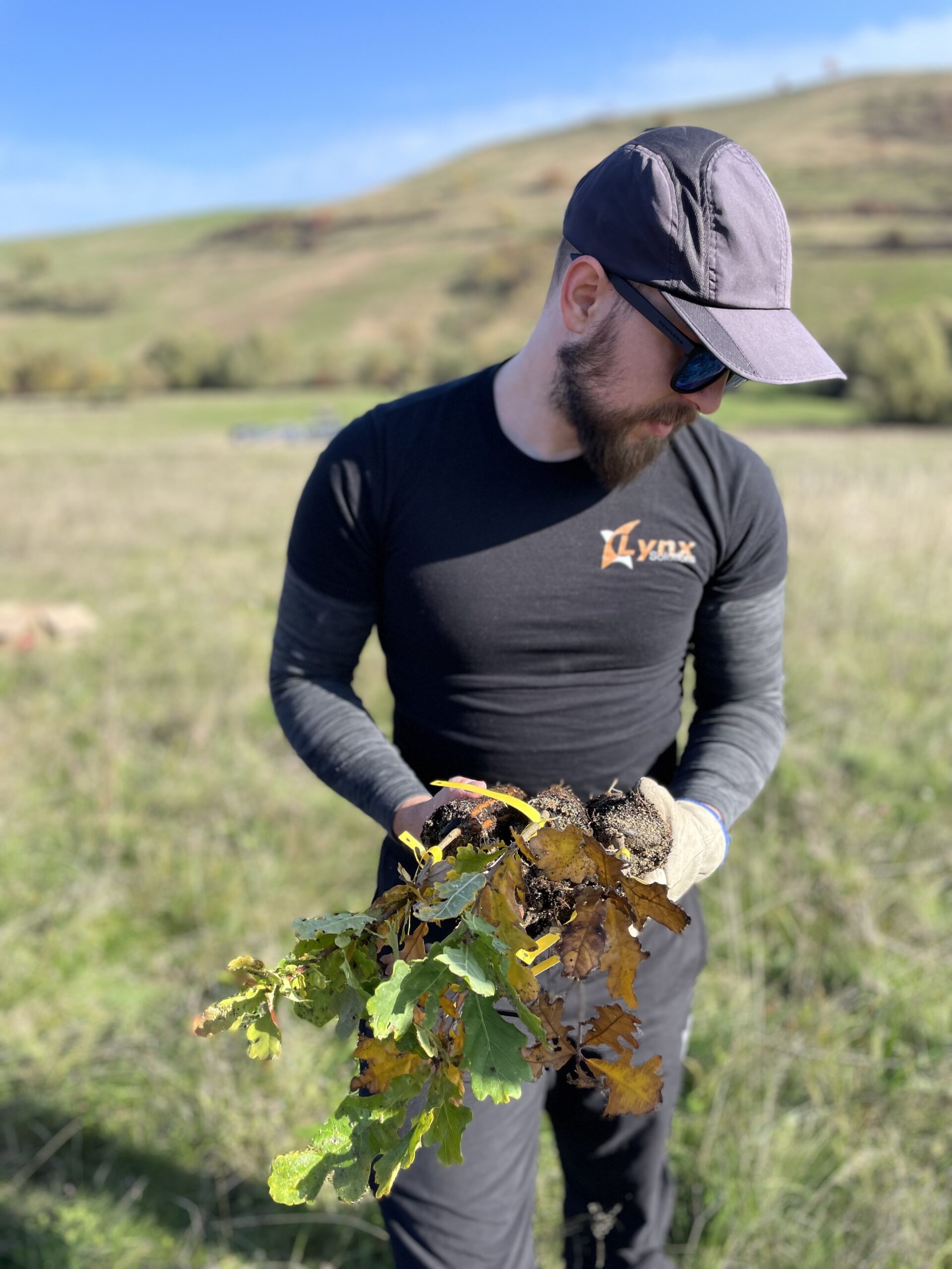 LynxSolutions Planting Trees 3